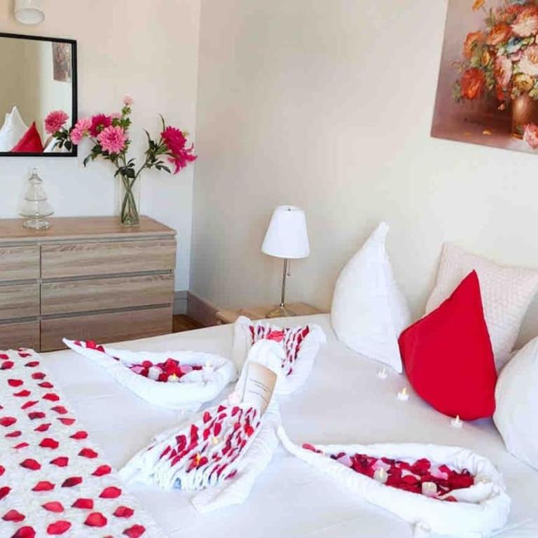 Martine a Annecy parking vue magnifique - Apartamento con vistas a las montañas - 17