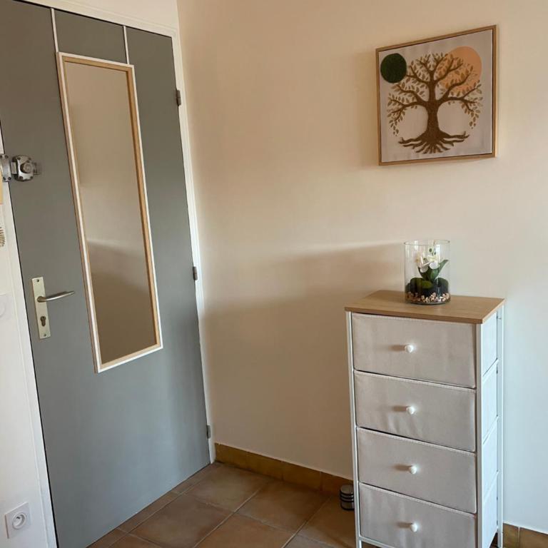 T1 bis rénové et cosy à côté des Thermes et de l'étang de Thau - Appartement 1 Chambre - 7