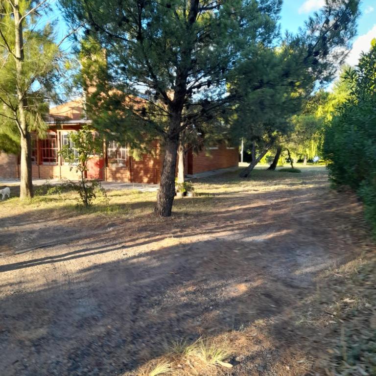 Cabaña Paralelo 1 - Casa de 2 dormitorios - 5