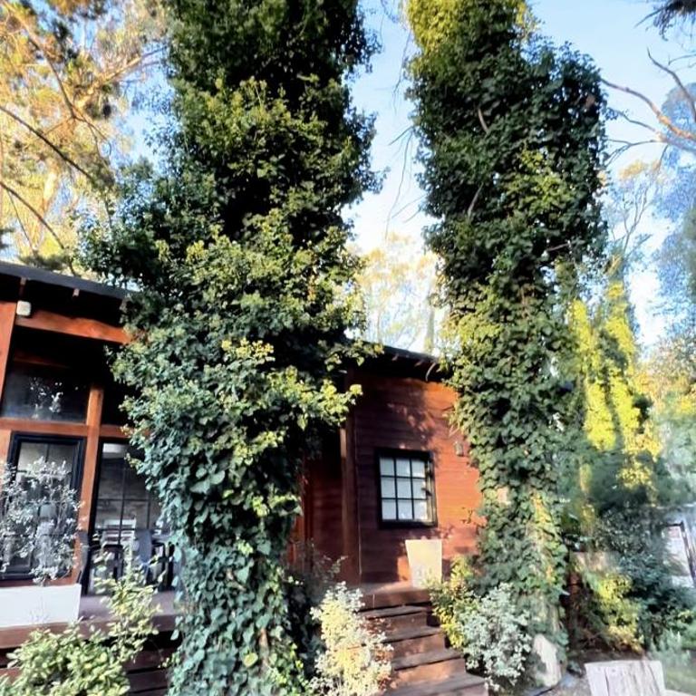 Complejo Del Bosque - Casa de 2 dormitorios - 2
