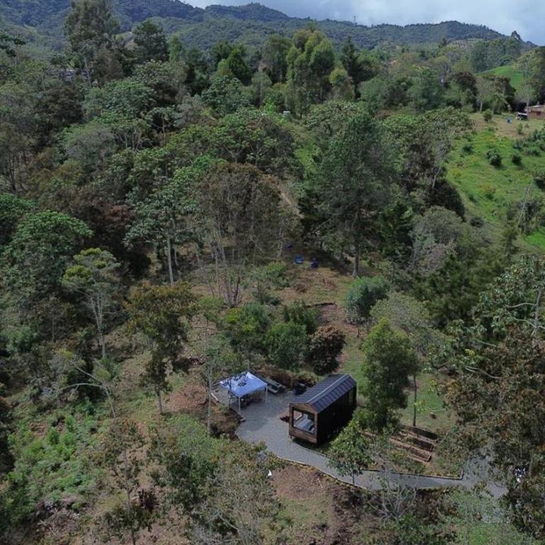Minimalist Tiny House in Nature, El Retiro - Casa con 1 dormitorio - 5