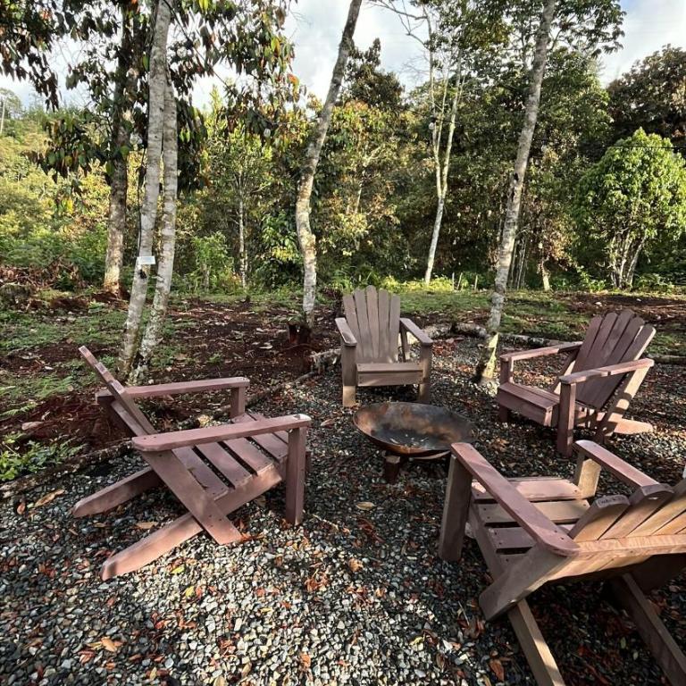 Minimalist Tiny House in Nature, El Retiro - Casa con 1 dormitorio - 17