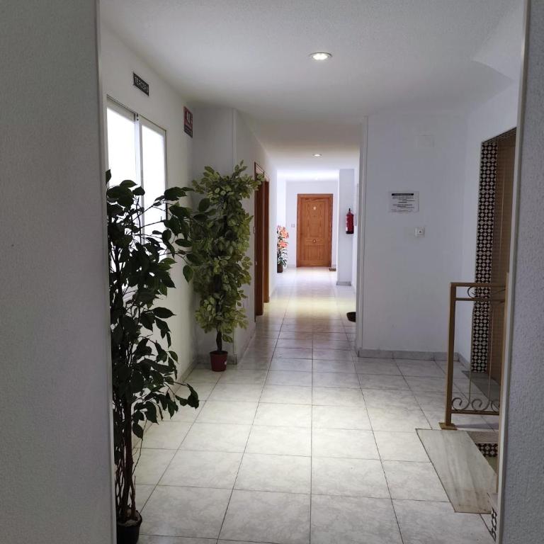 APARTAMENT BERGANTIN 30 Torrevieja - One-Bedroom Apartment - 11