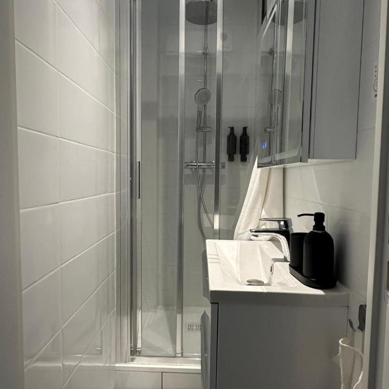 Superbe appartement rénové, calme et très bien desservi, Paris 15e - Appartement 2 Chambres - 18