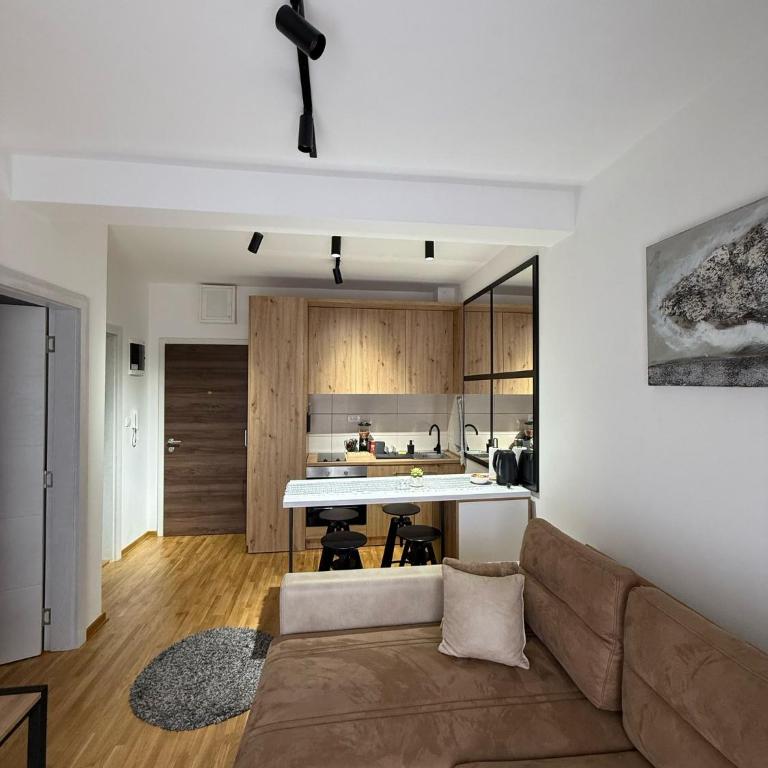 Royal apartmani Vrnjačka Banja - One-Bedroom Apartment - 19