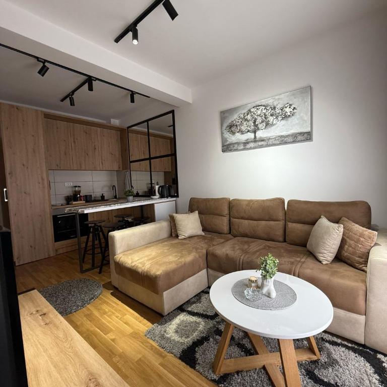 Royal apartmani Vrnjačka Banja - One-Bedroom Apartment - 3