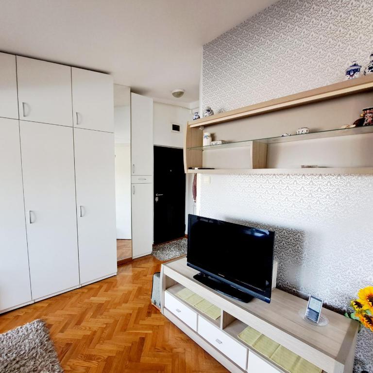 New Dorcol Ginger apartment - Apartman sa 1 Spavaćom Sobom - 3
