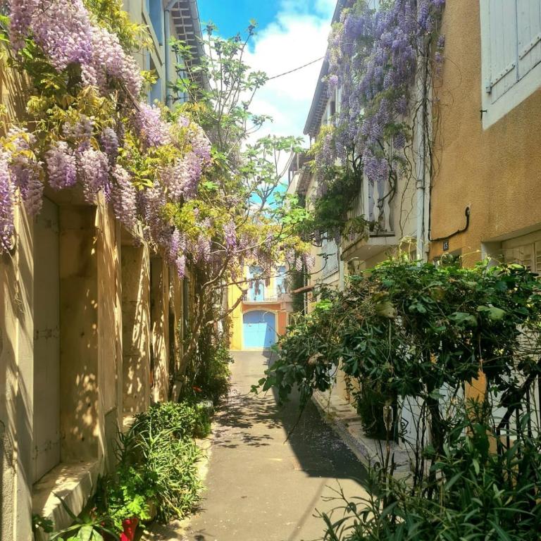 La Vigneronne between river and sea - Villa - 3