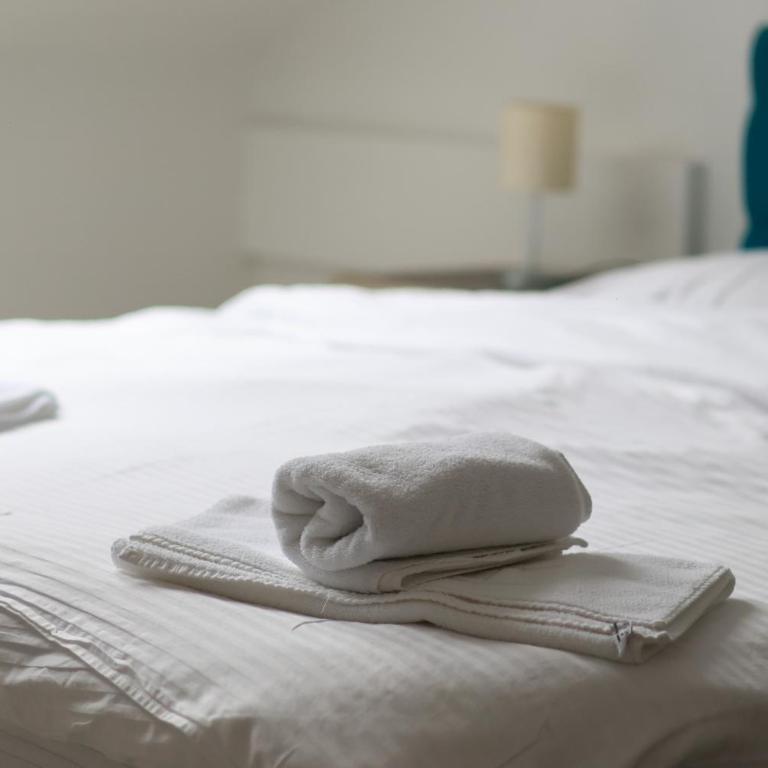 Beograd Budget Rooms Jelica - Dvokrevetna Soba sa Bračnim Krevetom i Sopstvenim Kupatilom - 5