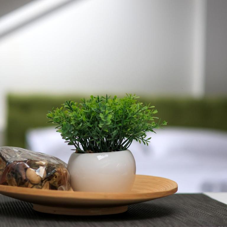 Beograd Budget Rooms Jelica - Dvokrevetna Soba sa Bračnim Krevetom i Sopstvenim Kupatilom - 16