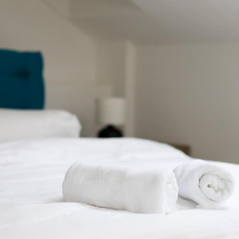 Beograd Budget Rooms Jelica - Dvokrevetna Soba sa Bračnim Krevetom i Sopstvenim Kupatilom - 1