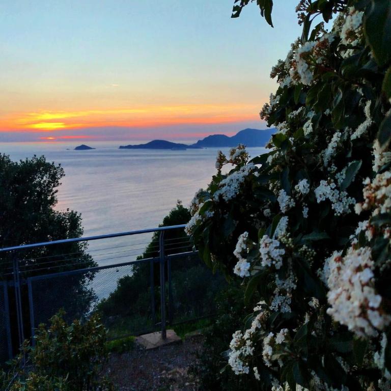 Appartamento N6 San Terenzo Lerici-4 posti letto-parcheggio privato- aria condizionata - Appartamento Monolocale - 18