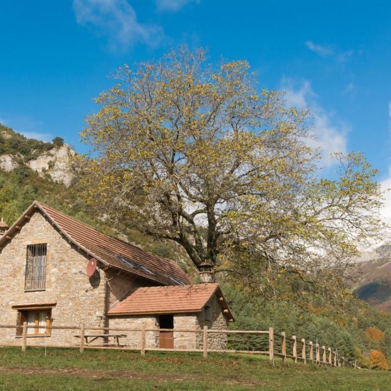 Borda Batista Casa Rural - Maison 3 Chambres - 4