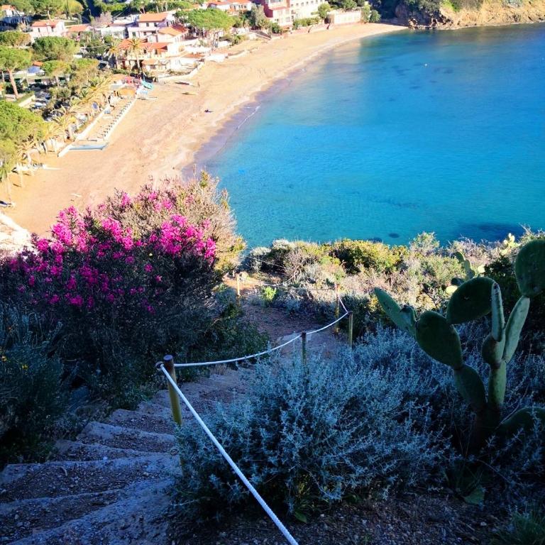 Residence Capo Morcone - One-Bedroom Apartment - 9
