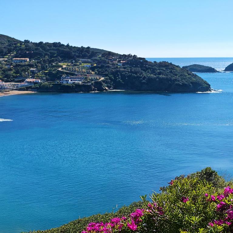 Residence Capo Morcone - Studio with Sea View - 5