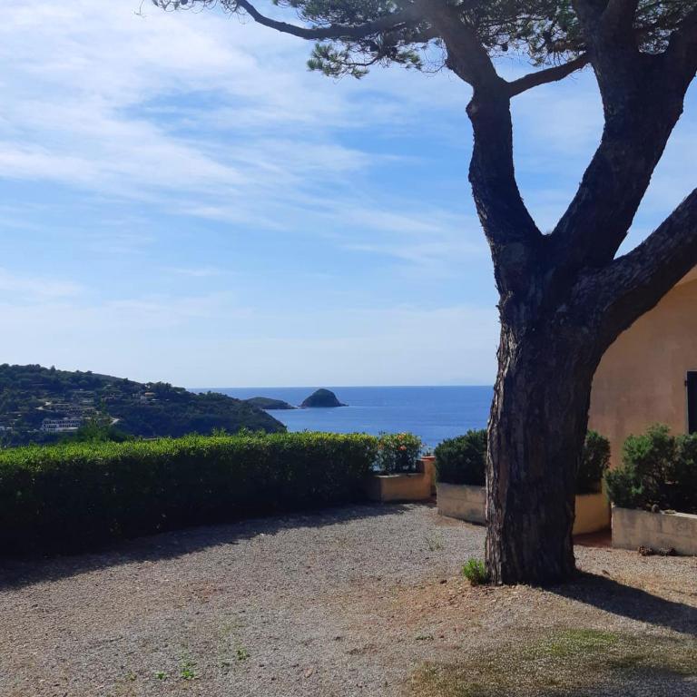 Residence Capo Morcone - Studio with Sea View - 3