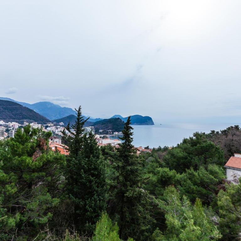 Sea view Petrovac - One-Bedroom Apartment - 10