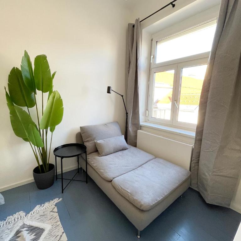 Luxurious 3 bedroom center flat with AC! - Appartement 3 Chambres - 16