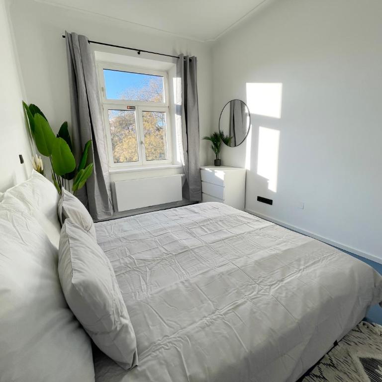 Luxurious 3 bedroom center flat with AC! - Appartement 3 Chambres - 18
