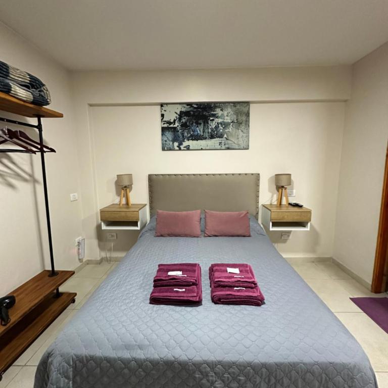 LOFT CENTRICO. - Apartamento de 1 dormitorio - 2