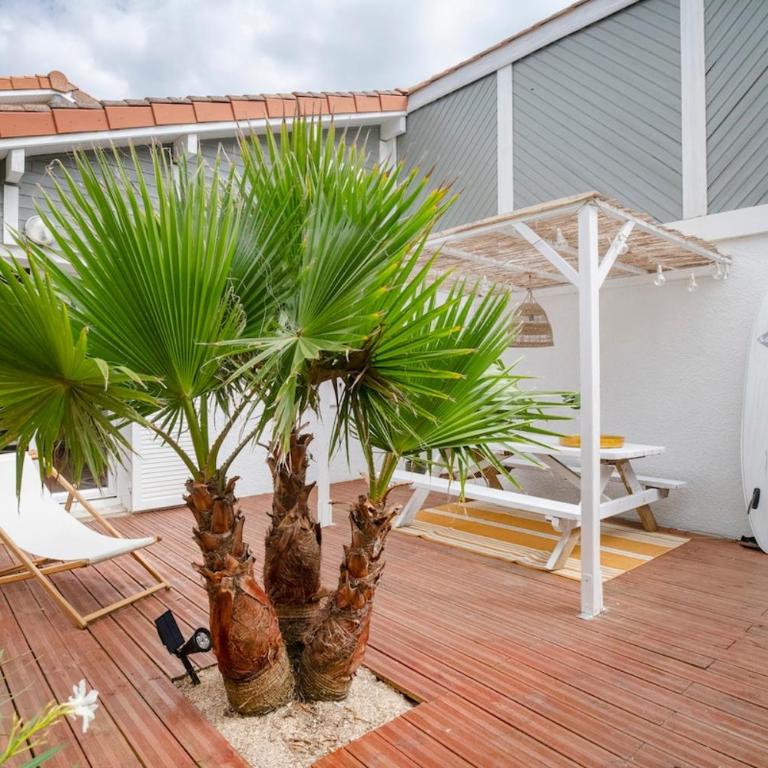 Jolie maison face à l'océan Biscarrosse Plage - Haus mit 1 Schlafzimmer - 2