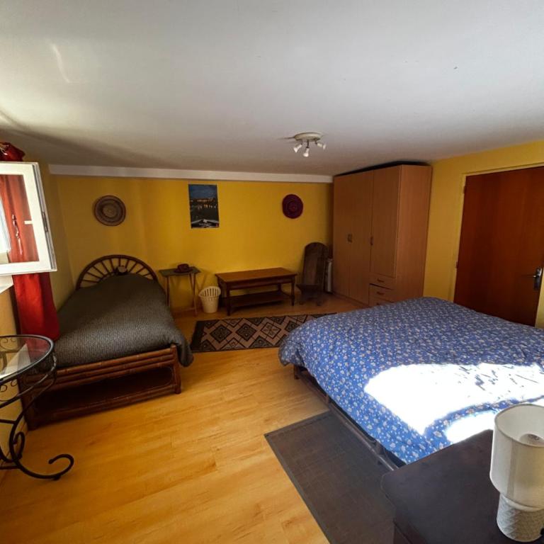 La petite Garenne - T2 Climatisé et jardin privé - Apartment mit 1 Schlafzimmer - 41