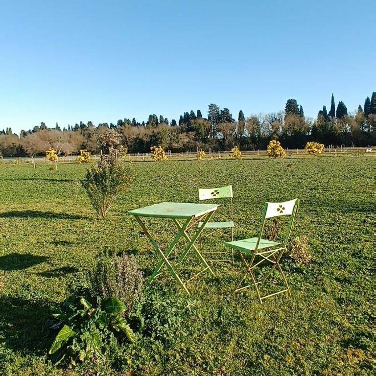Le Clos des Mimosas - Villa con 3 Camere da Letto - 14