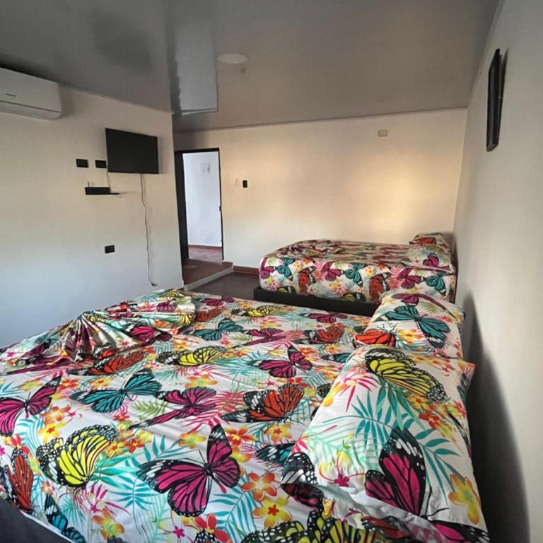 Hostal Piratas de Santa Marta - Habitación Cuádruple con baño privado - 1