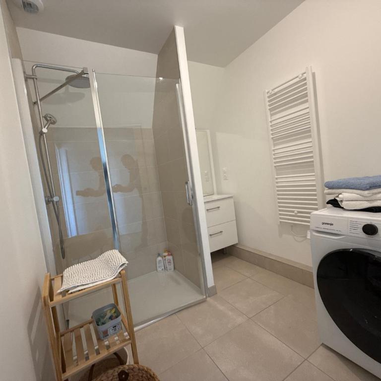 Le palatin PARKING privé tout inclus - Apartment mit 2 Schlafzimmern - 9