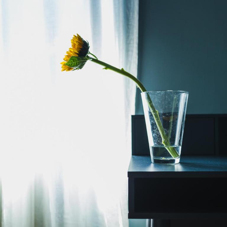 Hortis, l'incontro tra il legno e il Mare - Appartamento con 3 Camere da Letto - 6