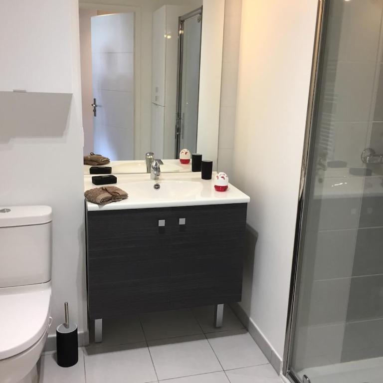 Ma place au sud Nice 604 - Appartement 1 Chambre - 41