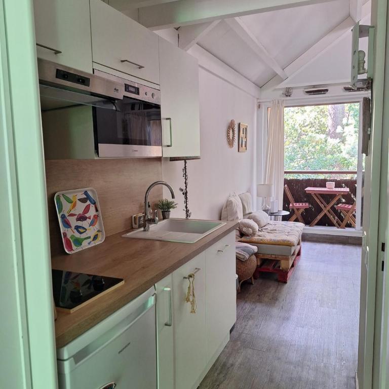 Séjour nature et détente dans la pinède - Appartement 2 Chambres - 3