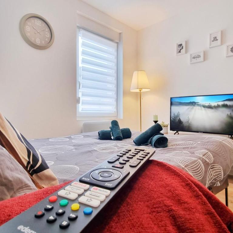 Les Suites Mulhousiennes - Charme & Sérénité - Appartamento con 1 Camera da Letto - 13