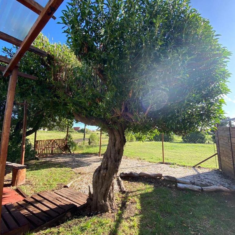 Hermosa Cabaña en Chapadmalal - Casa con 1 dormitorio - 8