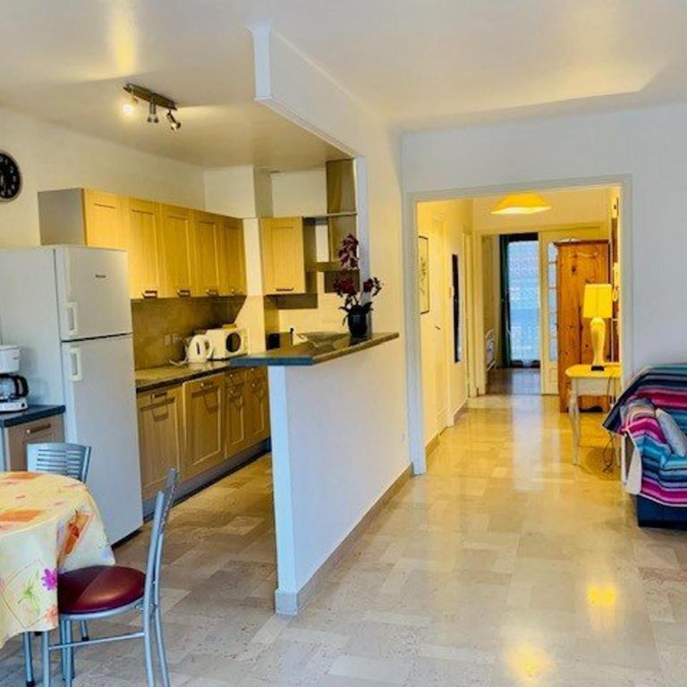 Appartement F2 avec Wifi, 4 personnes, Amélie-les-Bains - Appartement 1 Chambre - 1