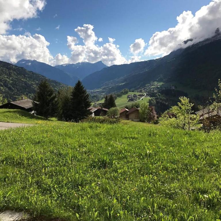 Charmant appartement avec jardin et magnifique vue - Appartement - 8