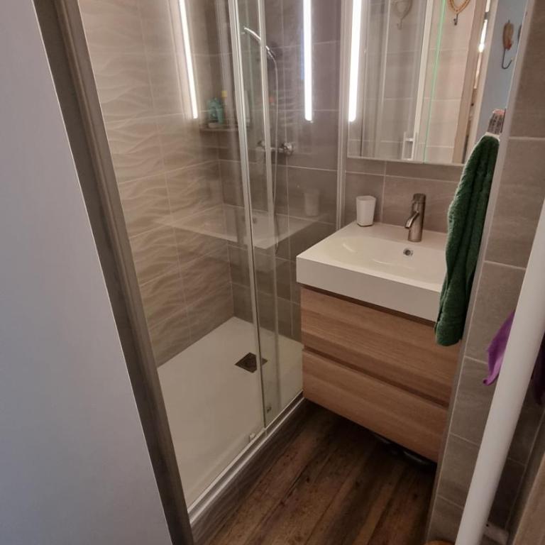 P2 au pied des Pistes La Joue du Loup - Appartamento con 2 Camere da Letto - 7
