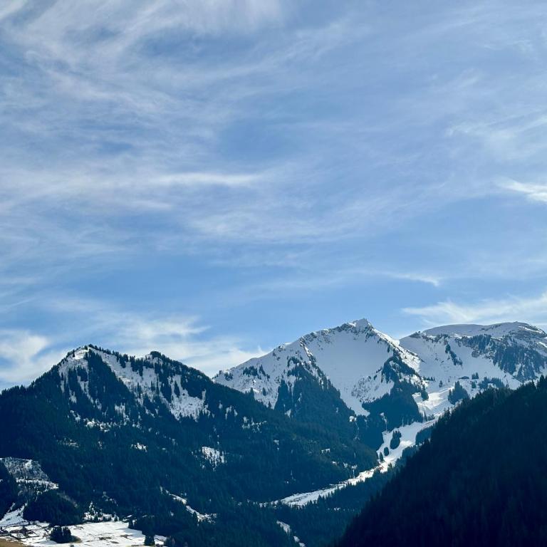 Yéti 3 - T3 et Mezzanine - Apartment mit 2 Schlafzimmern und Bergblick - 26