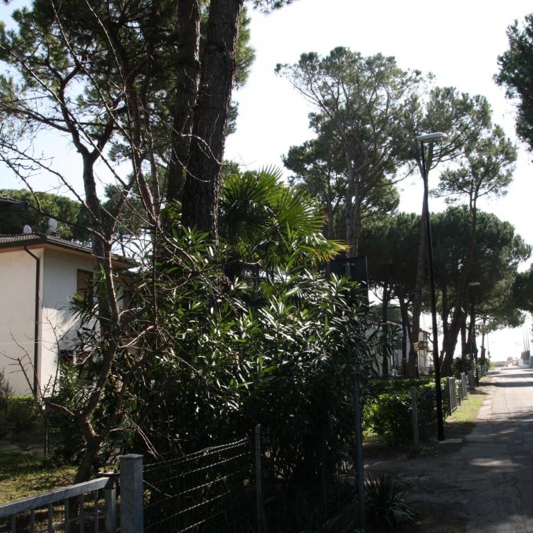 Jolly family apartments - Appartamento con 1 Camera da Letto - 2
