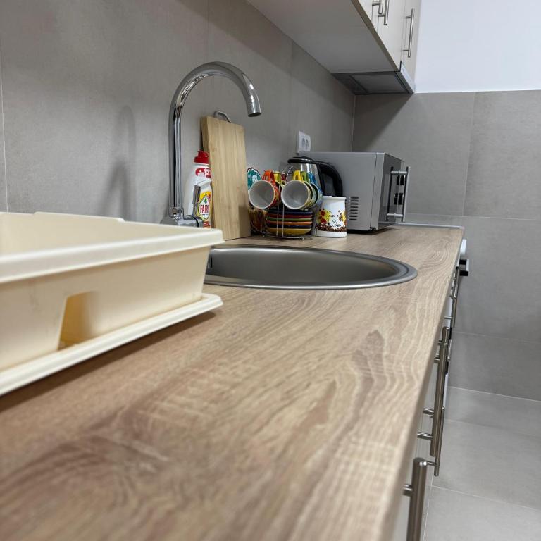 Apartman CRYSTAL Vrnjačka Banja - Apartman sa 1 Spavaćom Sobom - 14