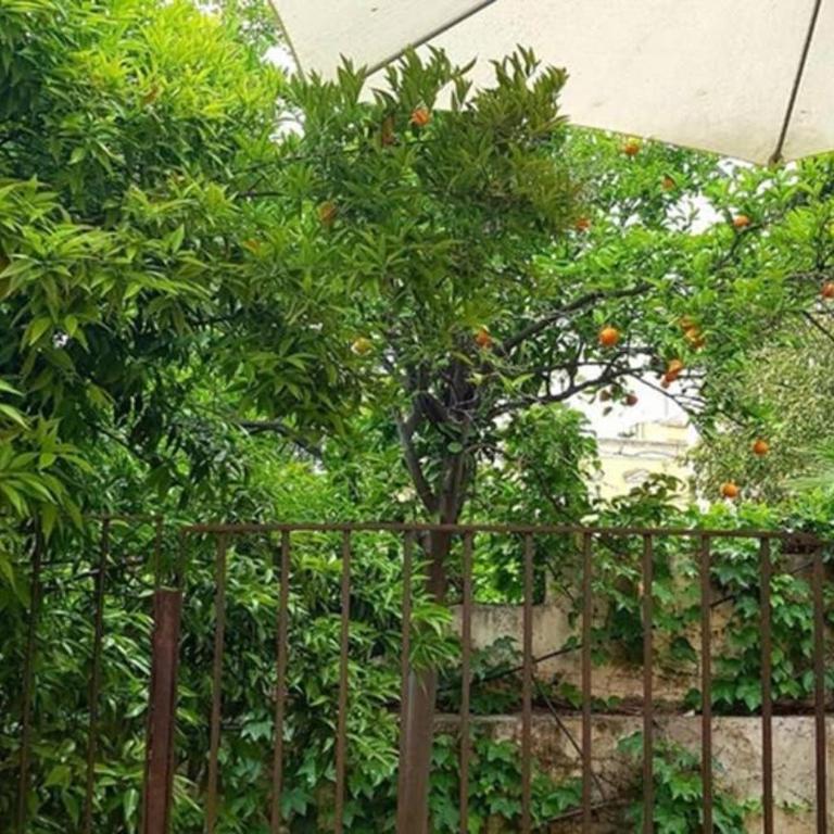 La Siciliana - Casa Vacanze con 3 Camere da Letto - 30