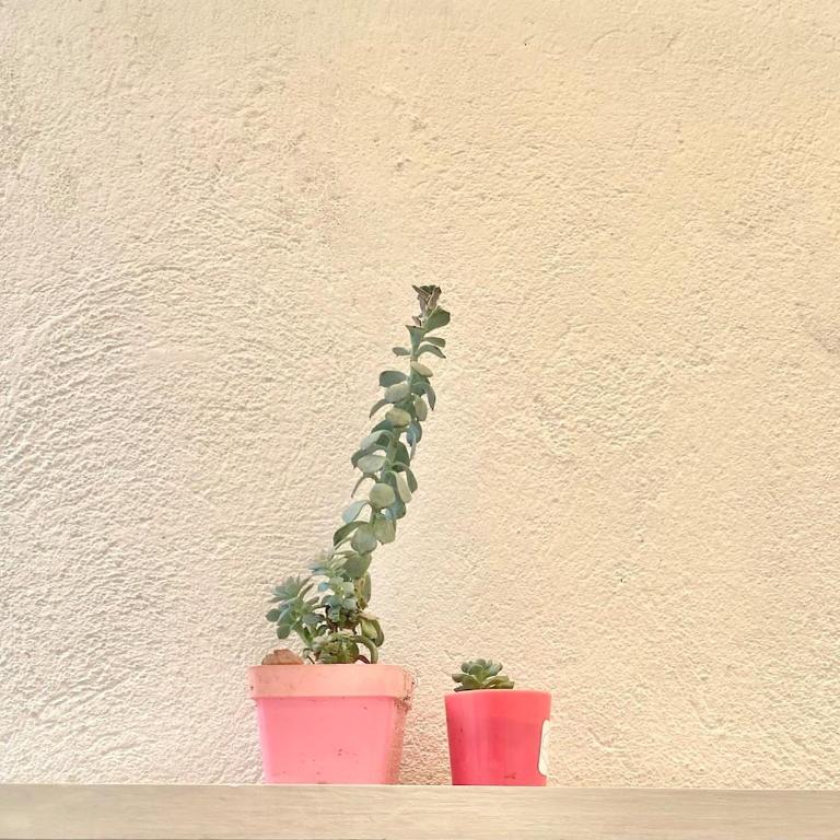 Apartaestudio Acogedor Medellín - Apartamento de 1 dormitorio - 5