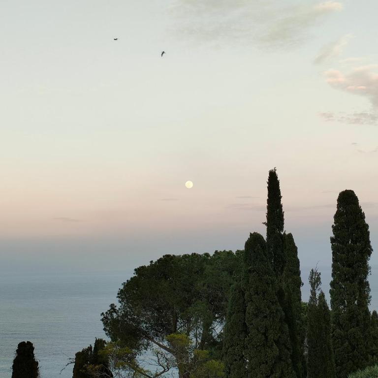 Tao sea view Guest House - Appartamento con 1 Camera da Letto - 27