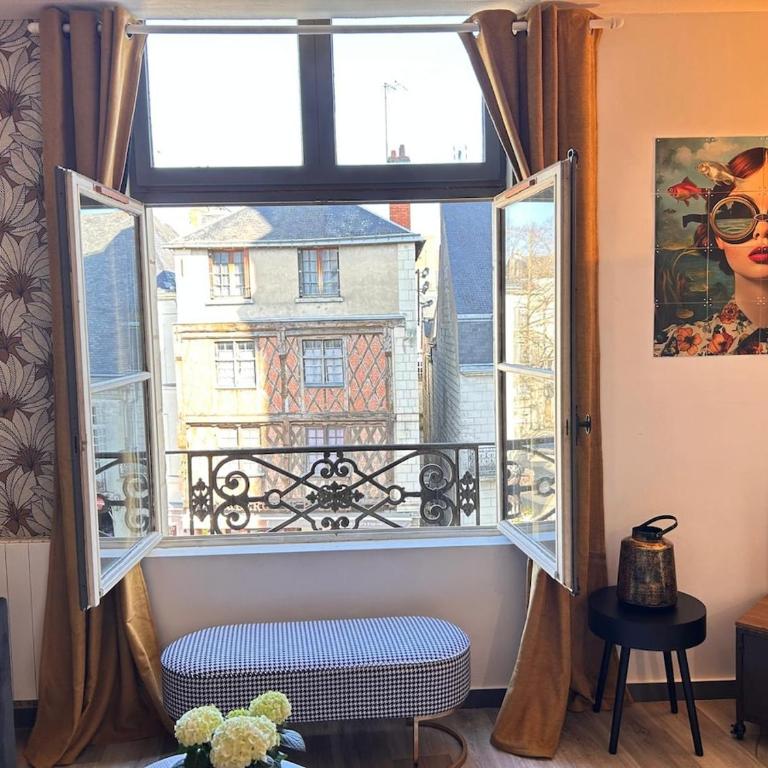 Le Cinq, Appartement de charme Place Saint Pierre Saumur - Appartement 2 Chambres - Vue sur Ville - 1