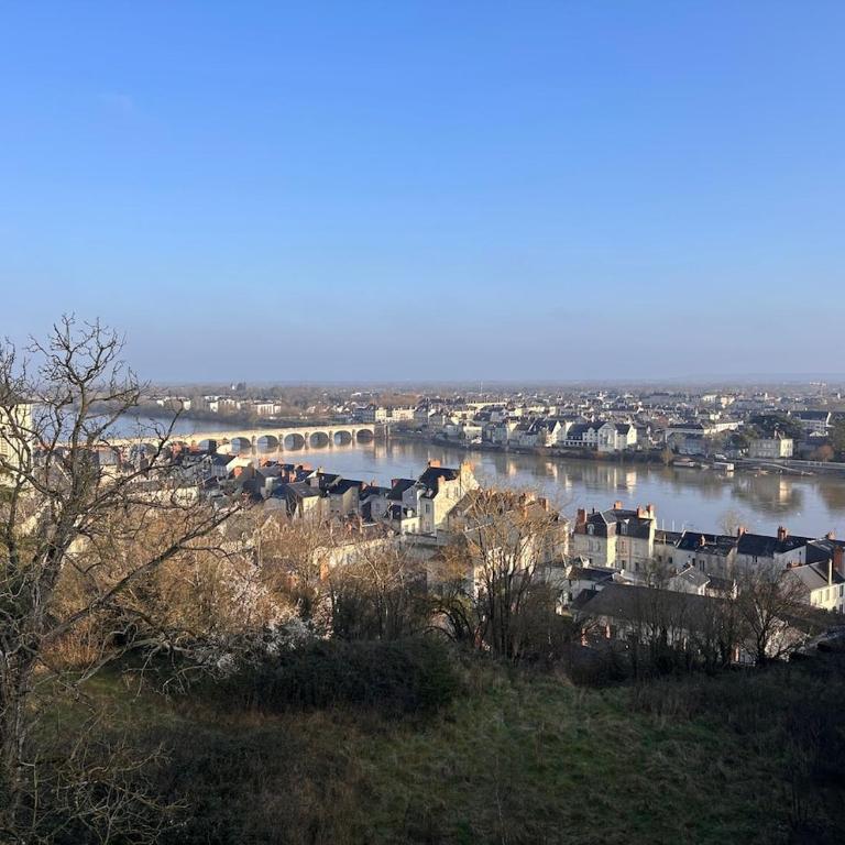 Le Cinq, Appartement de charme Place Saint Pierre Saumur - Appartement 2 Chambres - Vue sur Ville - 49