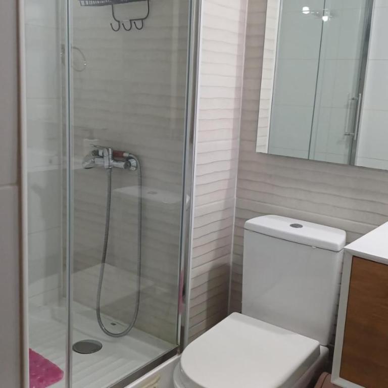 depto por dias santiago centro con estacionamiento - Apartamento de 2 dormitorios - 12