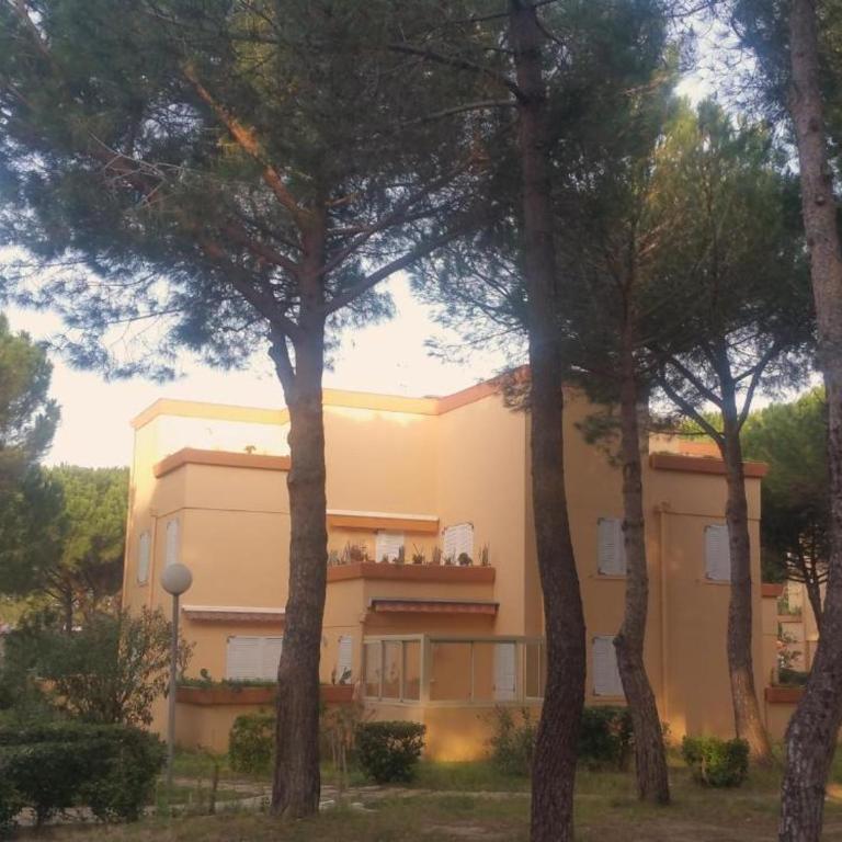 Charmant T2 climatisé avec terrasse - 200 m de la plage - les Boramars - Apartment mit 1 Schlafzimmer - 2