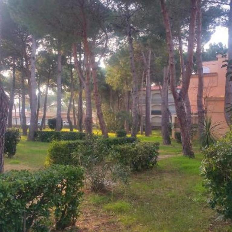 Charmant T2 climatisé avec terrasse - 200 m de la plage - les Boramars - Apartment mit 1 Schlafzimmer - 15