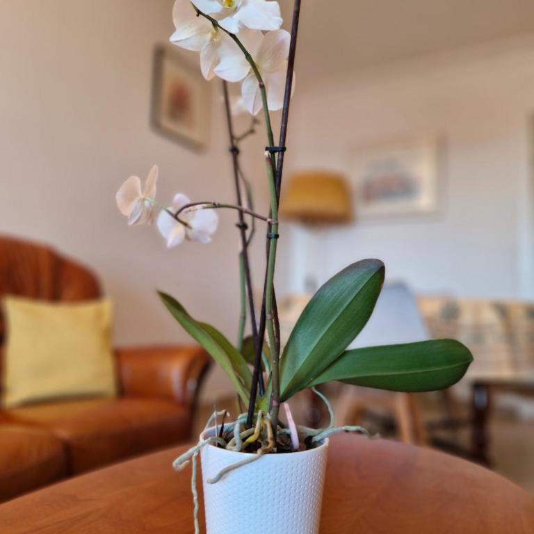 Juan-Les-Pins centre - Appartement 2 Chambres - 7