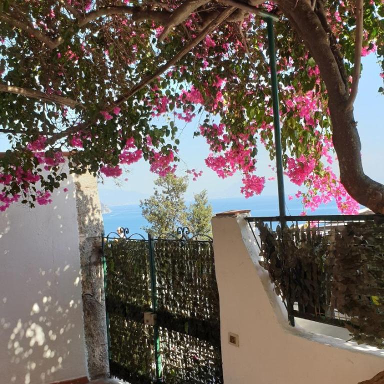 Villa Grace Amalfi seaview - Appartamento con 1 Camera da Letto - Lato Mare - 28